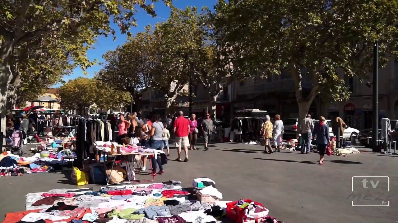 Les Halles de la ville de Mèze