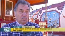 TV3 - Els Matins - El món del circ, contra la prohibició dels espectacles amb animals