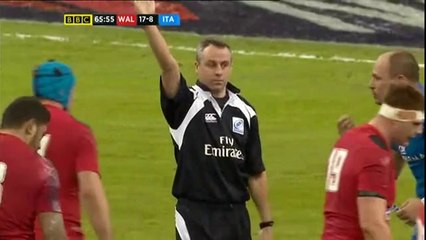 Sergio Parisse passe l'après-midi à incendier l'arbitre