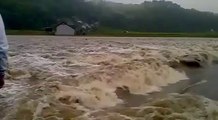 Surfing Swollen River Goes Wrong