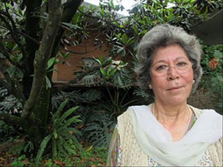 29 AD.JESUS:PANCREAS TRANSPLANT:ORGANIZED CRIME CRIMINALS OF ORGAN TRADE.