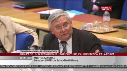 En Séance - Audition de Stéphane Le Foll: Projet de loi d'avenir pour l'agriculture, l'alimentation et la forêt