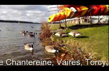 Nos balades entre Vaires, Torcy, Noisiel  autour du lac de Vaires 77