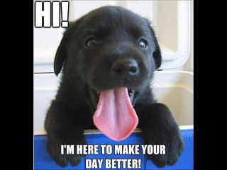 A Day in the Life-  version cover of Lennon (new)