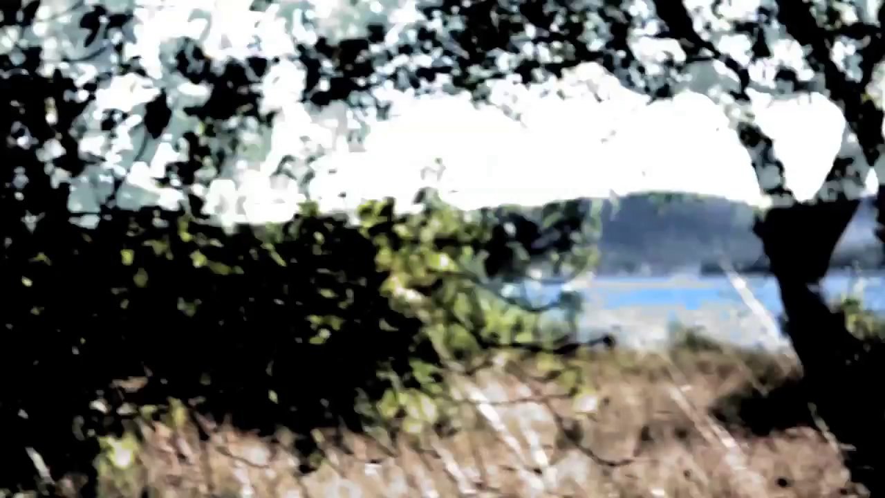 A Trip - The Road  /Full Film/Ganzer Film/Complete Movie