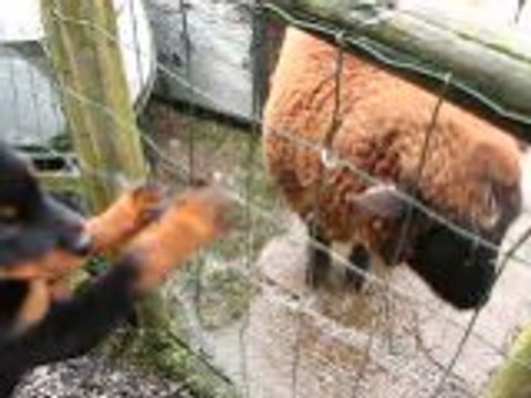 petits bisous a Rosalie