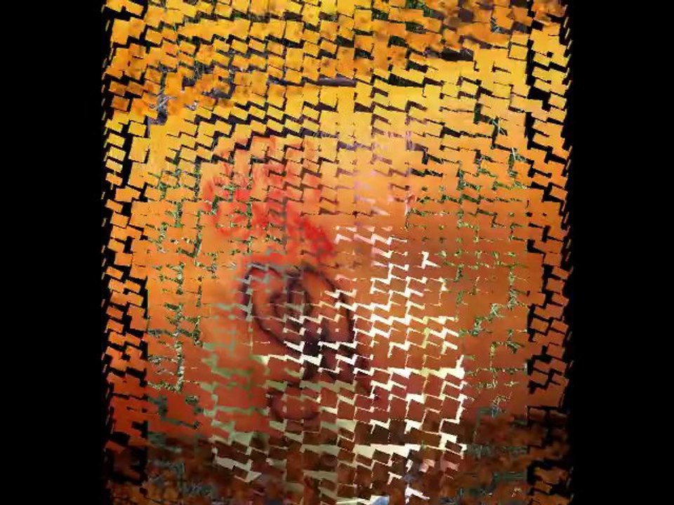 Happy Birthday Nathy