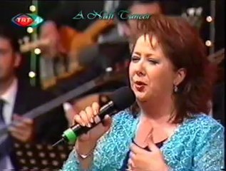 Emel TAŞÇIOĞLU-Su Gelir Bulanarak (Elmalı)-2