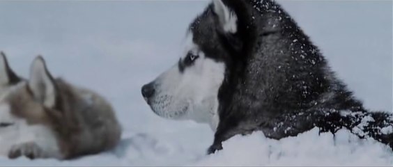 Unkle - Inside (Chill Out Music Video)