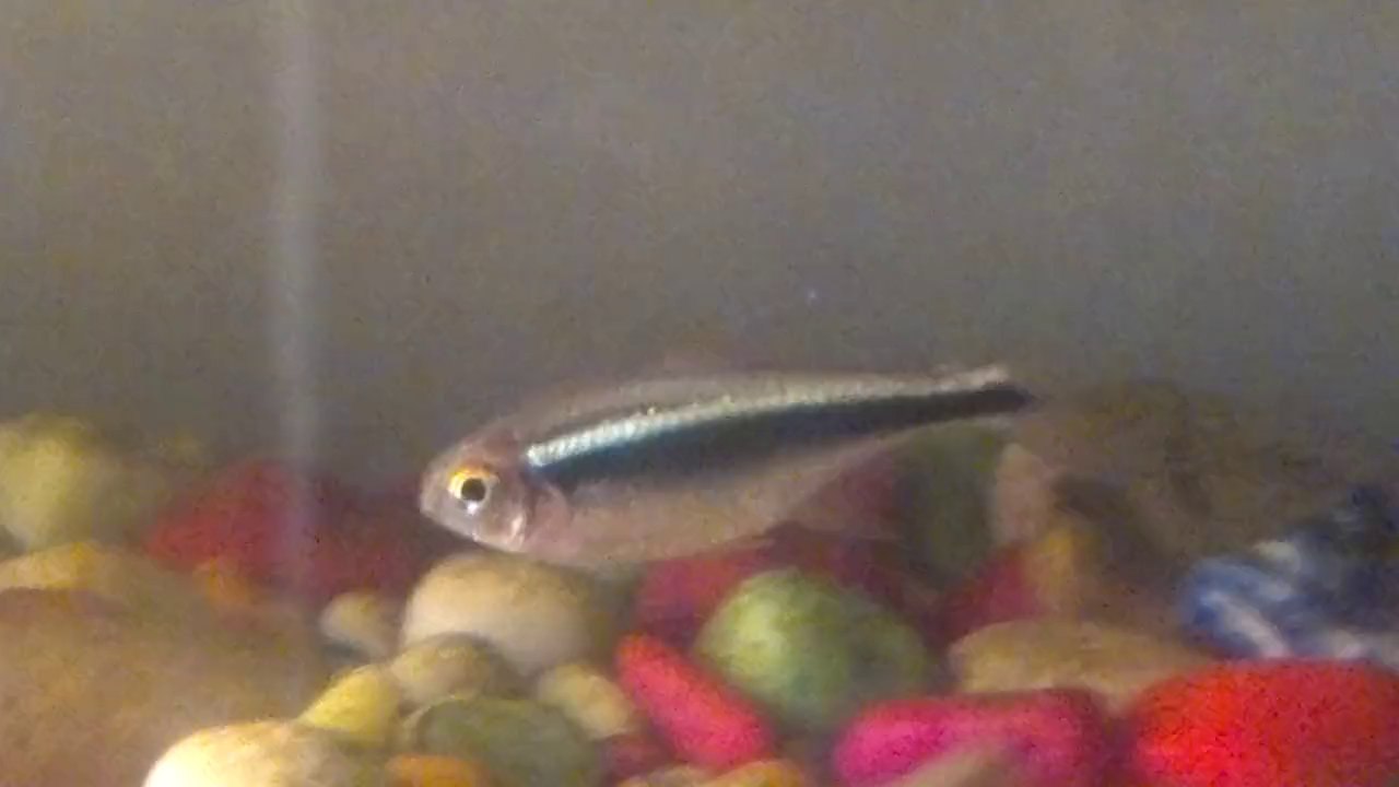 2014-02-02-7586