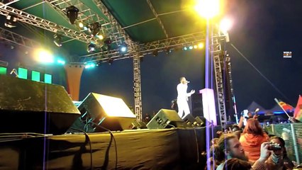 Busy Signal Live @ Rebel Salute Festival 2013 Part 2