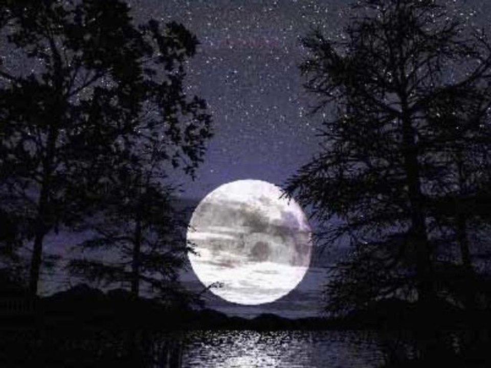 Ersin Ersavas - Med Cezir (Instrumental Oud Music)