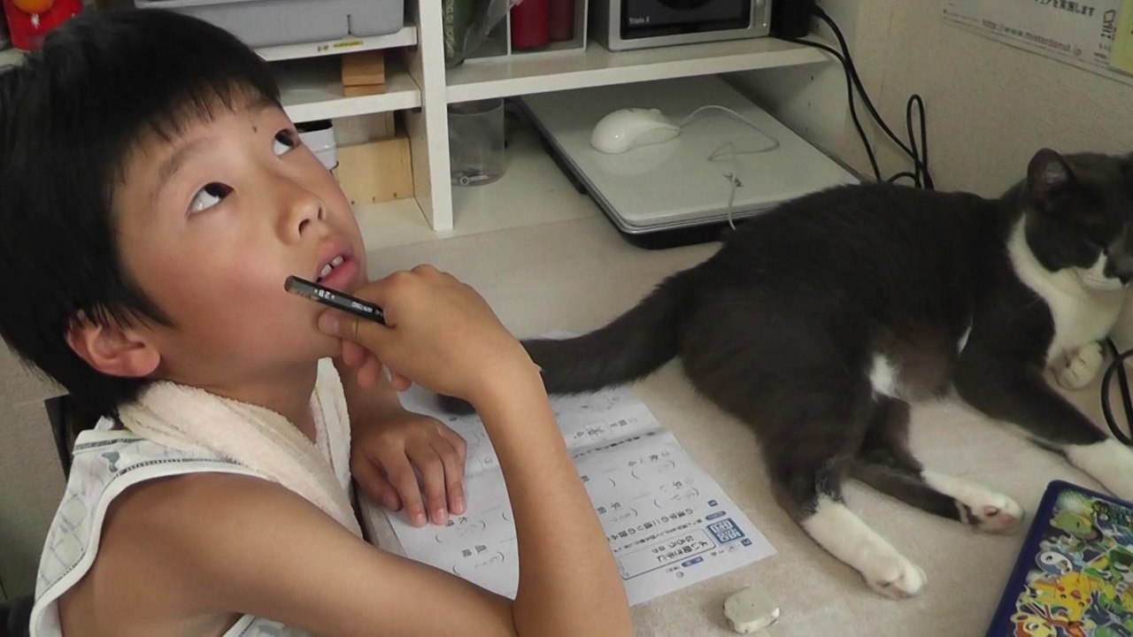 猫動画,Cat video,猫视频,видео Кошка,Cat-Videos,videos de chat,2011-06-25_133553