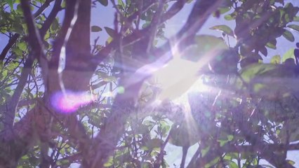 Estudios Y Colegio _ Hola Soy German