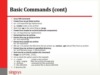 Linux Basics: Commands & Permissions 📘