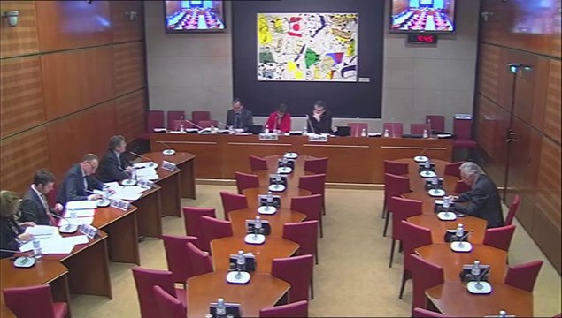 Audition de M. Jean-Paul Delahaye, DG de l’enseignement scolaire (ministère de l’éducation nationale) - Jeudi 6 Février 2014