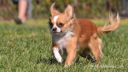 Towne Crest Apartments in Gaithersburg, MD - ForRent.com