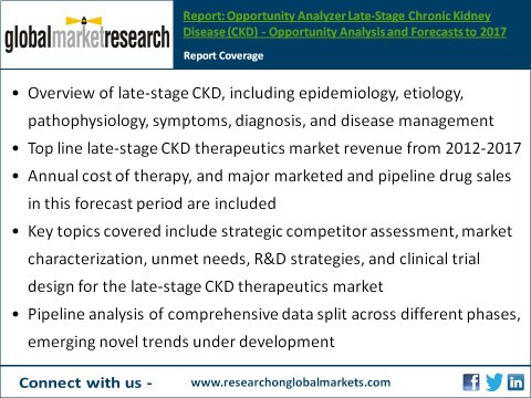 Late-stage chronic kidney disease market (CKD) - Market research Report