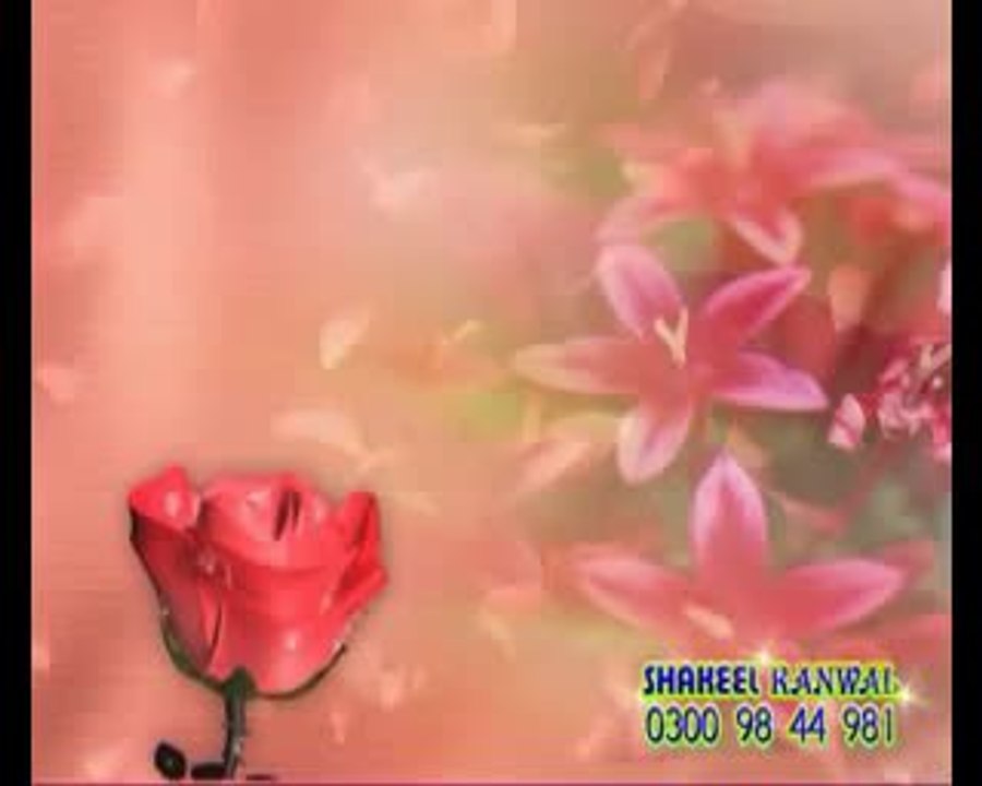 videoplayback_33
