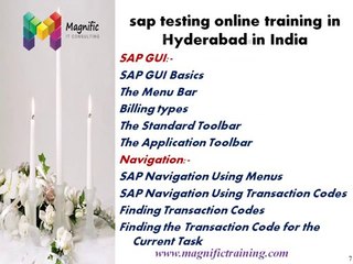 TESTING SAP TRAINING&CERTIFICATION