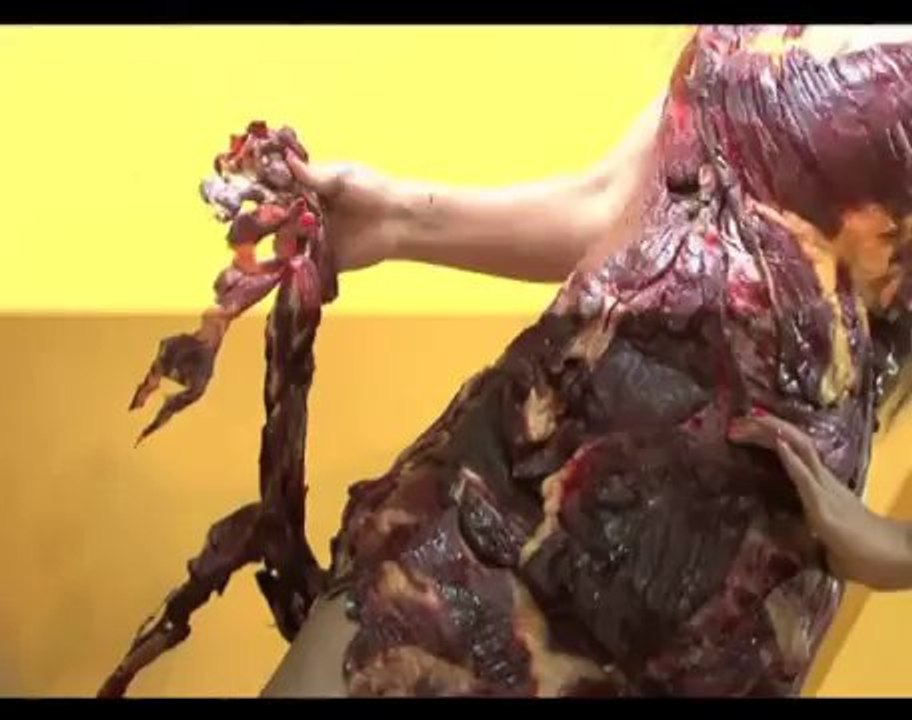 Tanisha dresses in meat for photoshoot