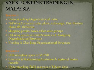 sap sd online training placement and support