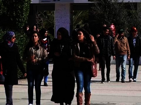 Tunisie: ce que pensent les Tunisiens de la nouvelle Constitution - 07/02