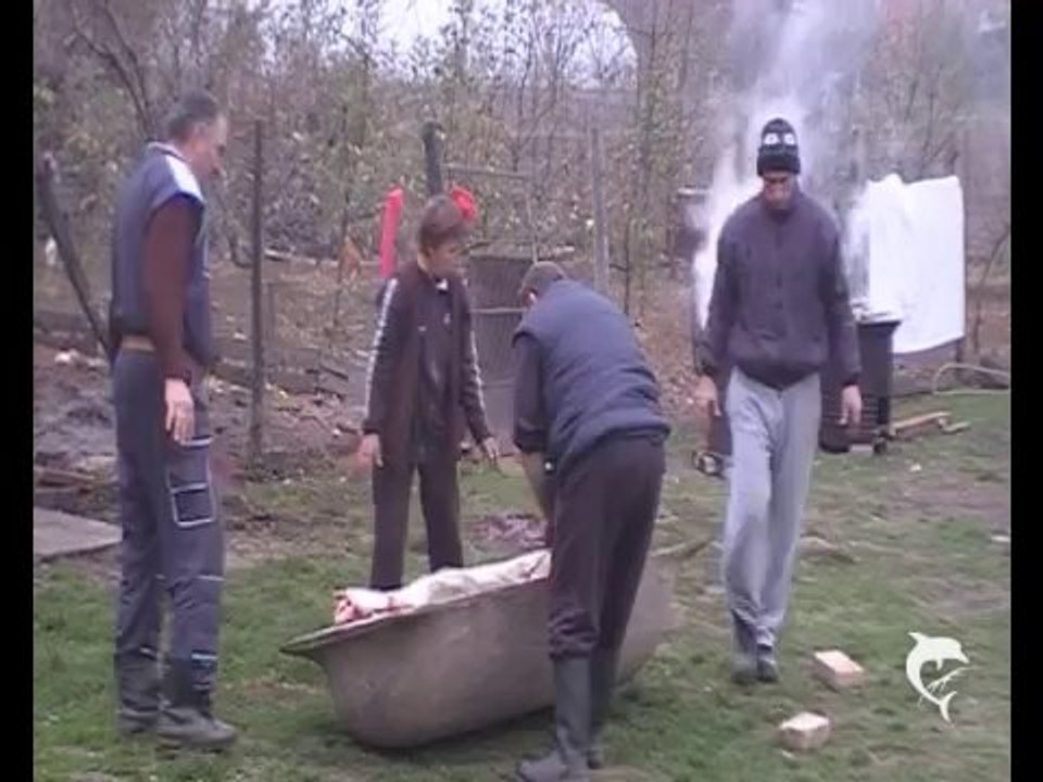 klanje_kod_arizanovica