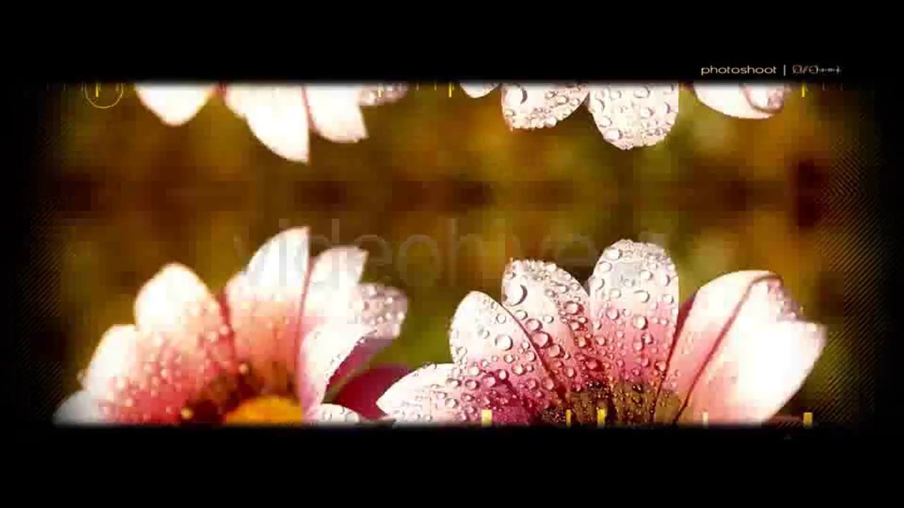 PhotoShoot - After Effects Template