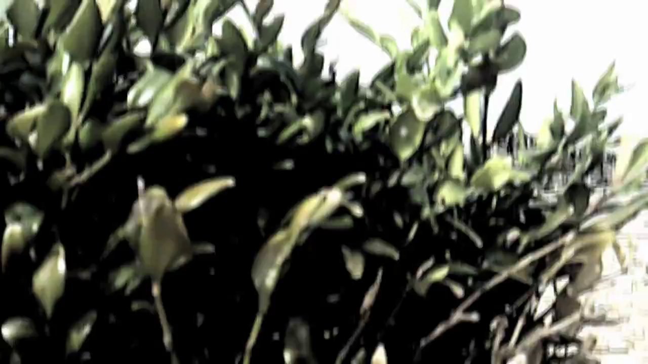 The City down there /Full Film/Ganzer Film/Complete Movie