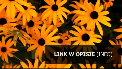 Aplikacja Christmas Clock na androida