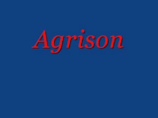Agrison on Dot429