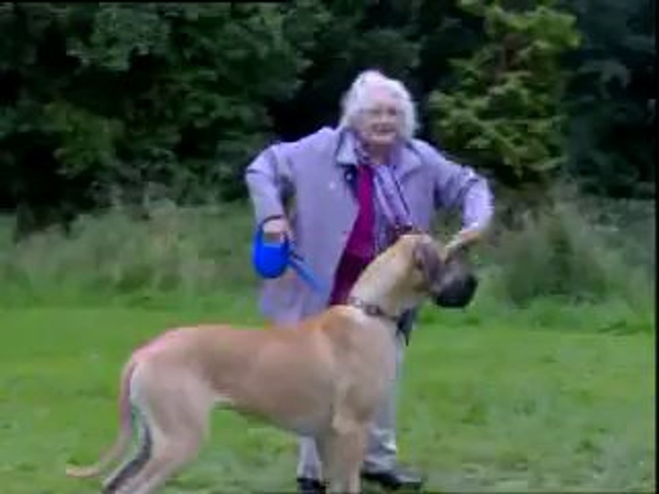 Granny walks dog (funny) 2014