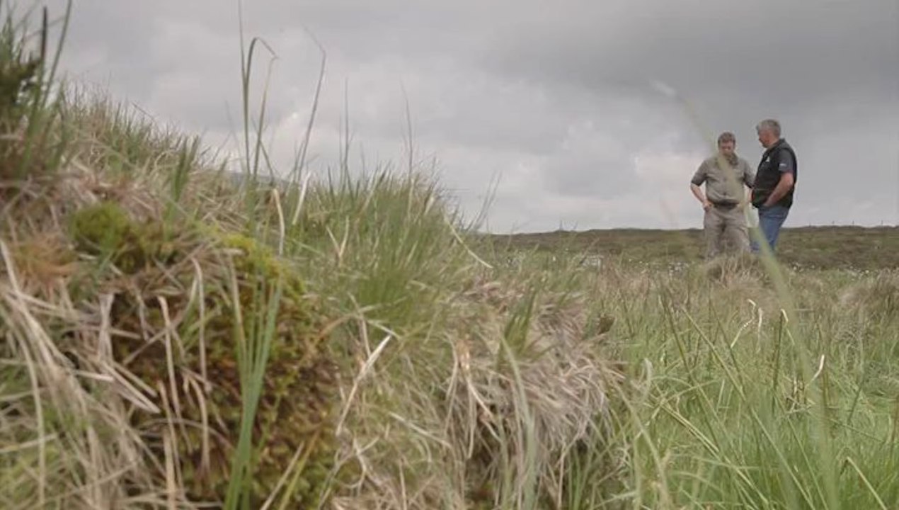 Les M.A.E.T sur les Monts du Forez Par Sébatien BARTHEL