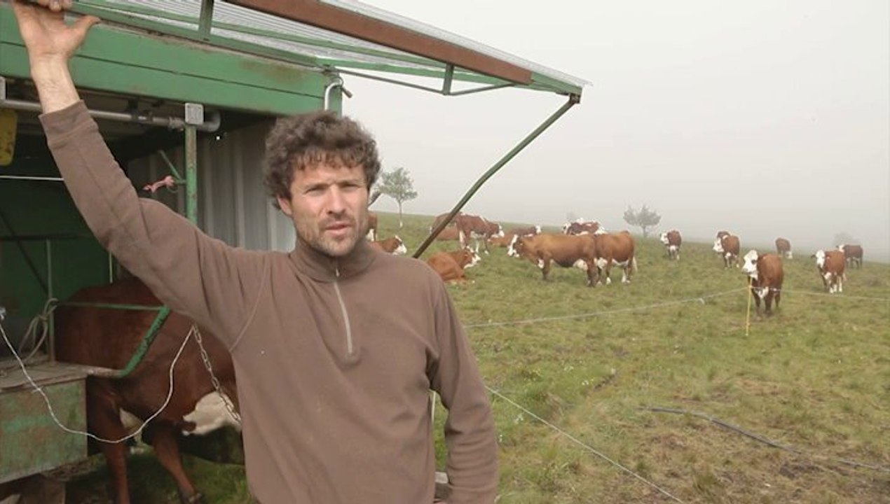 Pastoralisme bovin et tourbières sur les Monts du Forez  avec Emmanuel DURAND