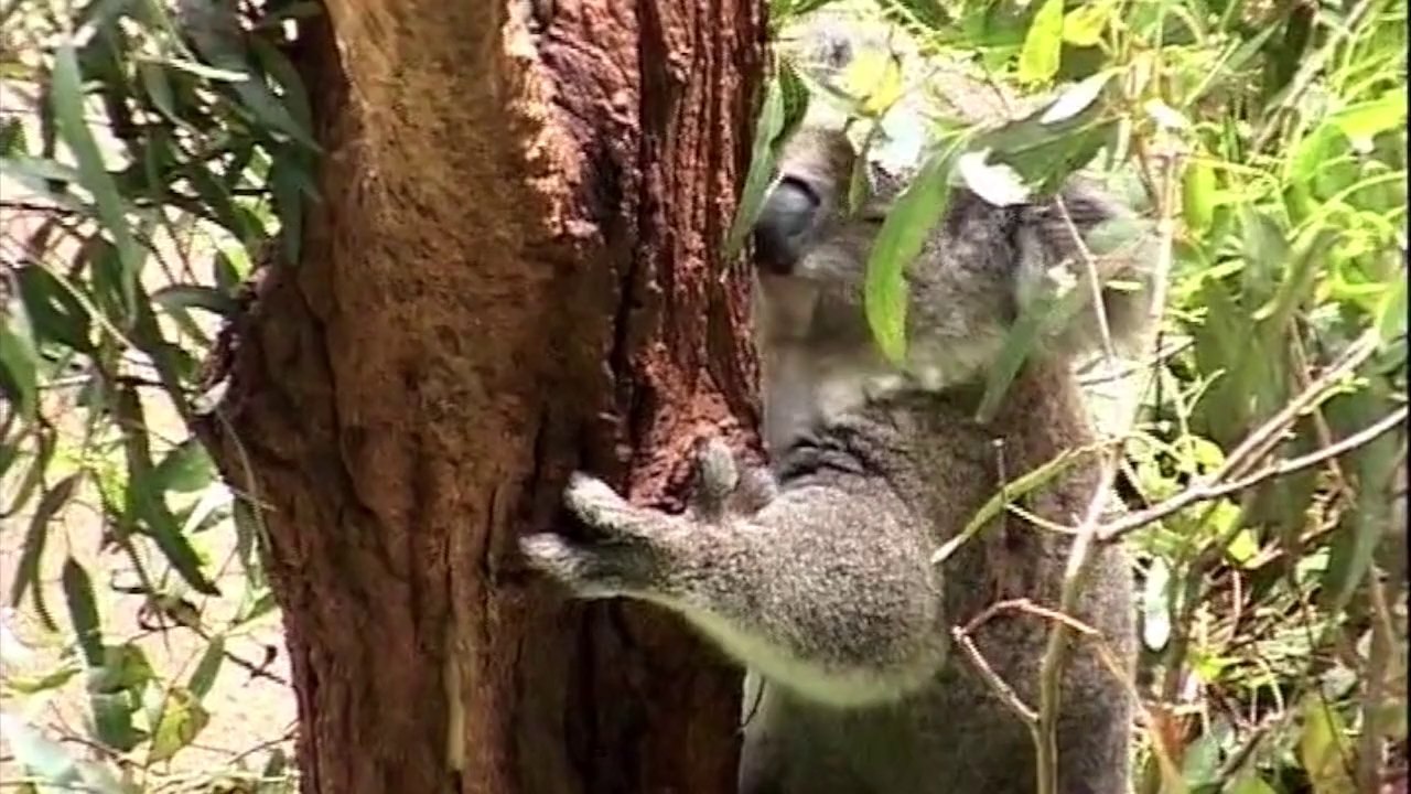 Saga du TOUR DU MONDE / Épisode 10
