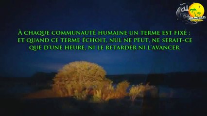 Très bon rappel_5 choses pour ne plus désobéir à Allah