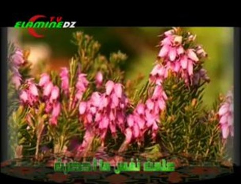 تلاوة خاشعة للقارئ عبد الباسط عبد الصمد - سورة التكوير