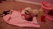Poodle Adorably Protects Baby From Blow Dryer