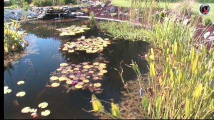 bassin de jardin de Waremme