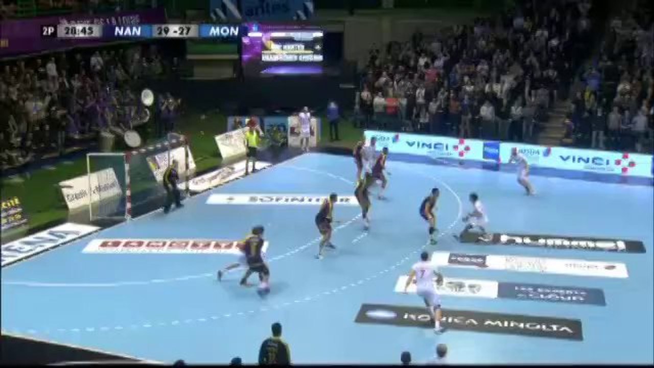 Handball - LNH 14ème journée Nantes 29-29 Montpellier - 06/02/2014