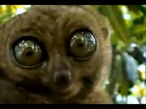 Things in the Sky again new Ricky Sticky mix