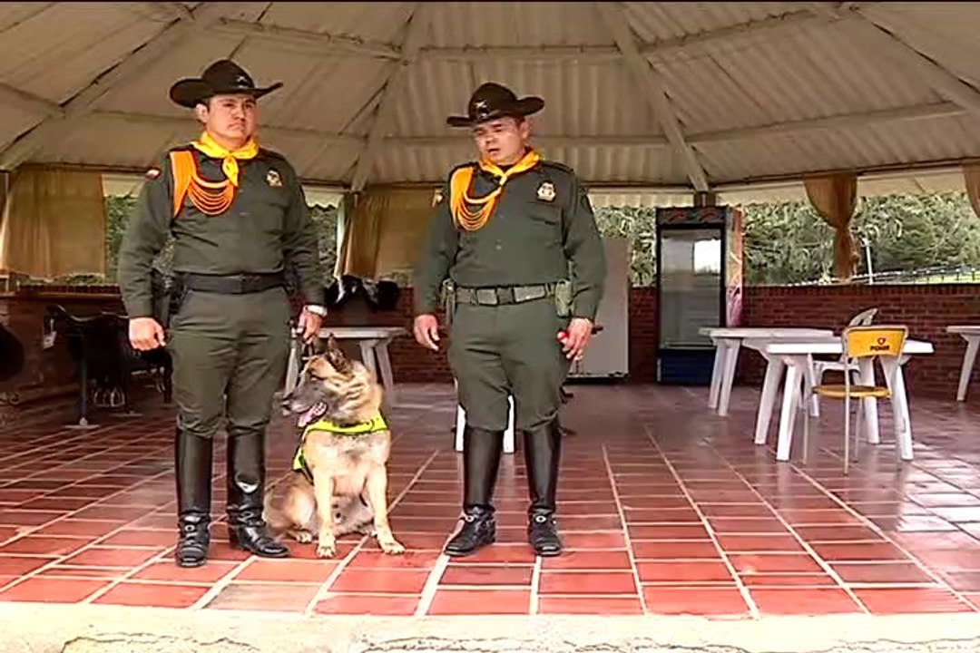 8 de febrero de 2014 Policia de Carabineros