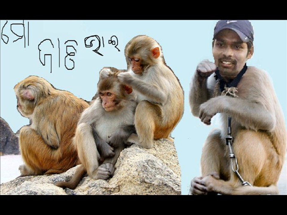 natraj behera ranji cricketer orissa monkey man (11)