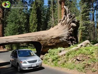 Our Journey Home starts