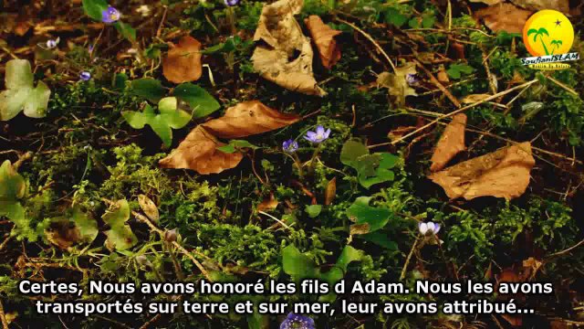 Sourate Al-Isra (Le Voyage Nocturne). Verset 61-77. Magnifique récitation. Sheikh Abdullah al Juhani. A écouter._.قراءة رائعة جدا. من أخشع قراءات الشيخ عبد الله الجهيني. سورة الإسراء. أية 61-77