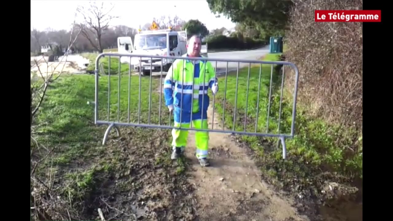 Larmor-Baden (56). Galettes d'hydrocarbures et oiseaux morts