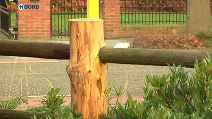 Gemeente Bellingwedde ruziet met cowboy Ab over ranchpoort - RTV Noord