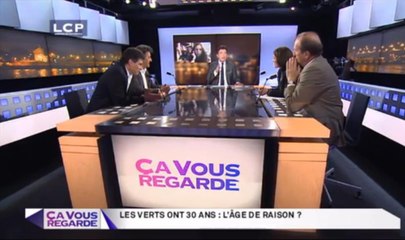 Ça Vous Regarde - Le débat : Les Verts ont 30 ans : l’âge de raison ?