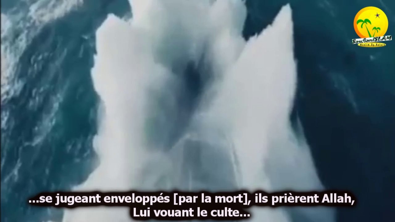 Récitation très apaisante par Shikh Shirzad Abd Alrahman._ Sourate Yunus (Jonas). Verset 22